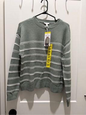 Ella Moss Sage Green Striped Knit Sweater